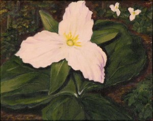 Trilliums on Canvas      